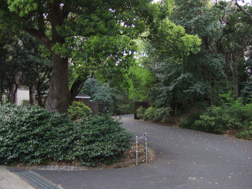 ��ëԢ�ܱ��ȸ���š�β��κ�6