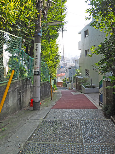 ���ۻܺ��NO.551��1