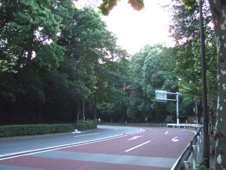 銀杏坂 (NO.111)3