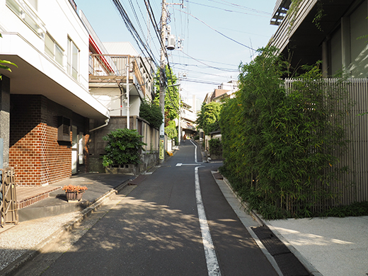 ネッコ坂(NO.171)その2-1
