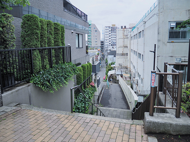 しろへび坂【NO.498】1