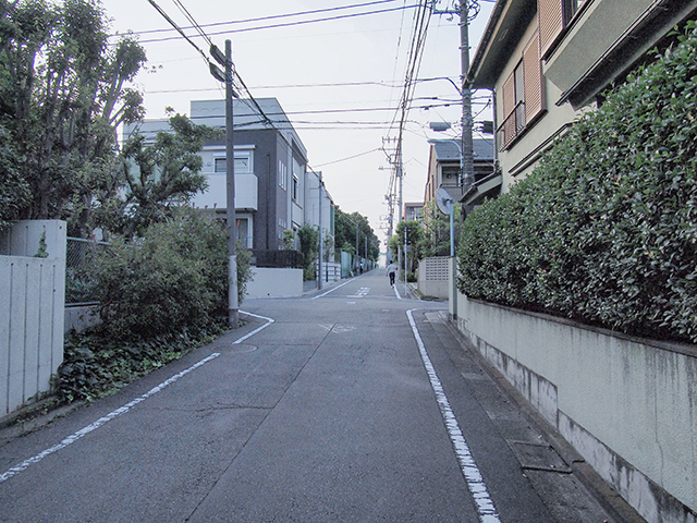 �Ͼ���NO.445��2+