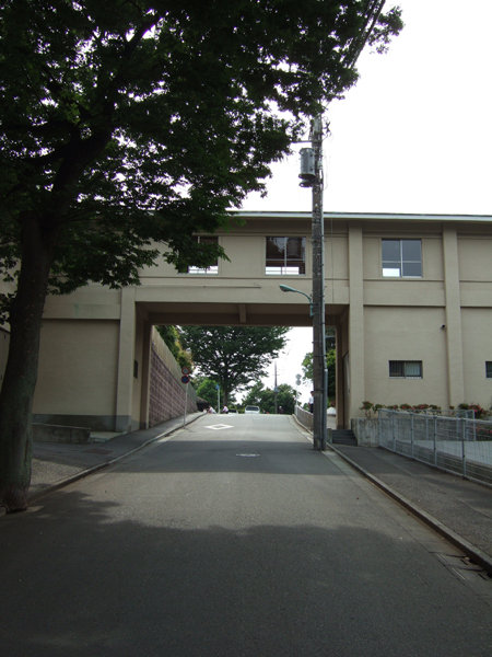 ���պ��NO.226��3