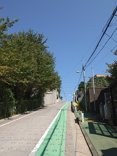 ���ܻ����ܤκ� [����ٻθ���]��NO.257��4