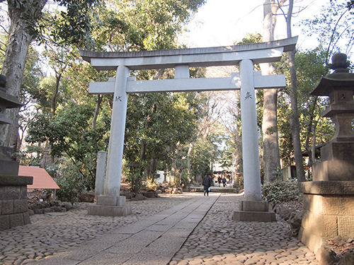 代々木八幡宮の男坂かも?5