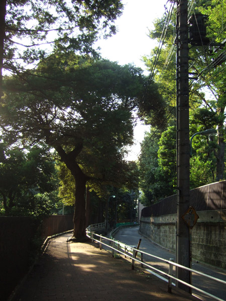 ���ں�(NO.154)1