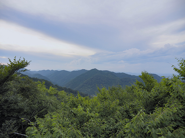 �����������֥륫���κ�ƻ�ڤȤ��볹������369��3