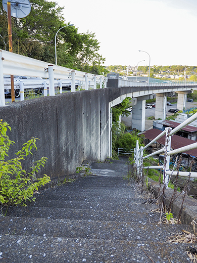 羽村大橋と多摩川が見られる階段2