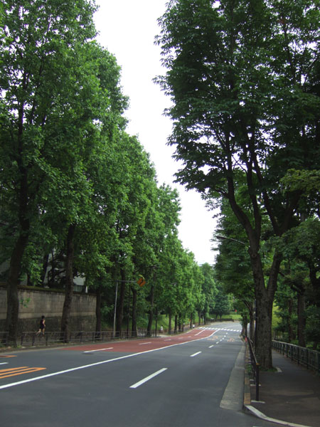 鮫河橋坂(NO.143)3