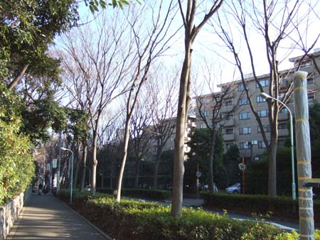 堀田坂 (NO.84) 4
