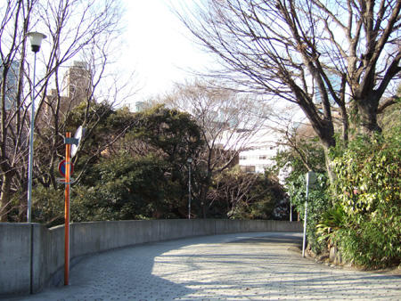 ���濷�� (NO.126) 1