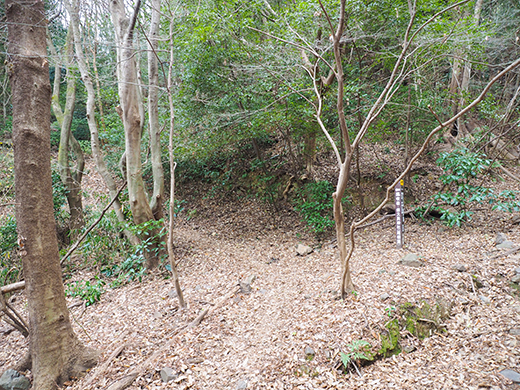 ��ƻ�ֵ���ƻ�פ��л�ƻ���⤤�Ƥߤ�_����2_1