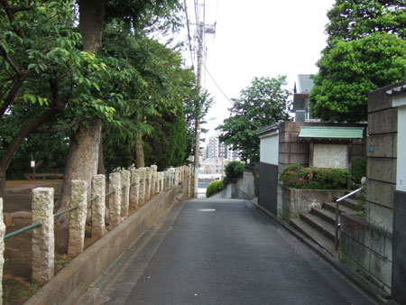 �ᤰ�ߺ��NO.230��4