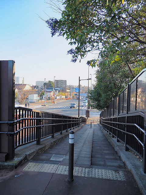 ��������ٿ��Ҳ��γ��ʤ�����������2