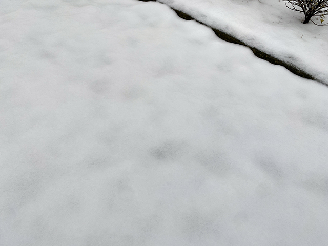 雪の日の東京(とある街の風景338)2