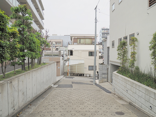 ��ã���NO.499��1+