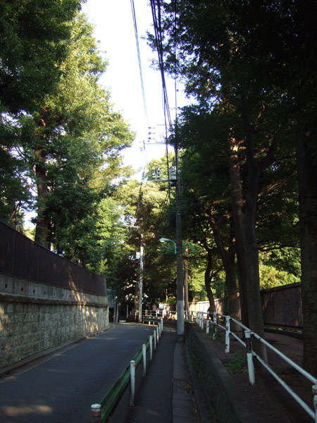 ���ں�(NO.154)3