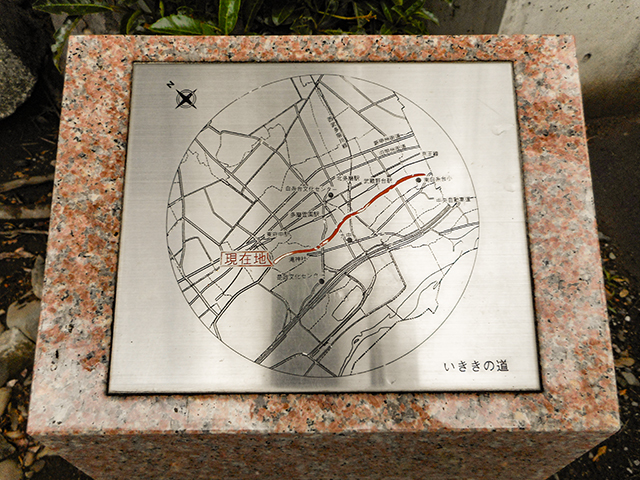 2023年11月にアクセスの多かった坂道の記事5選