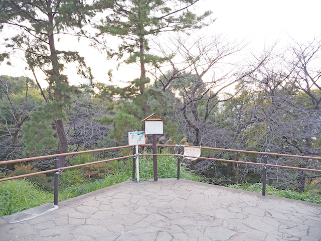 戸山公園の箱根山の展望台2
