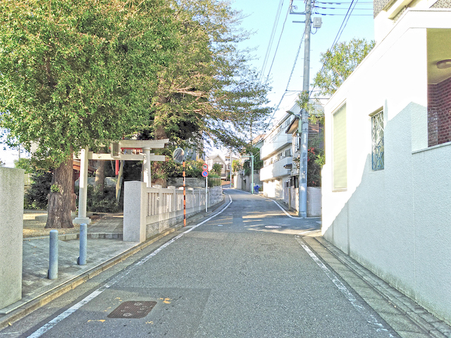 ぬめり坂【NO.558】3