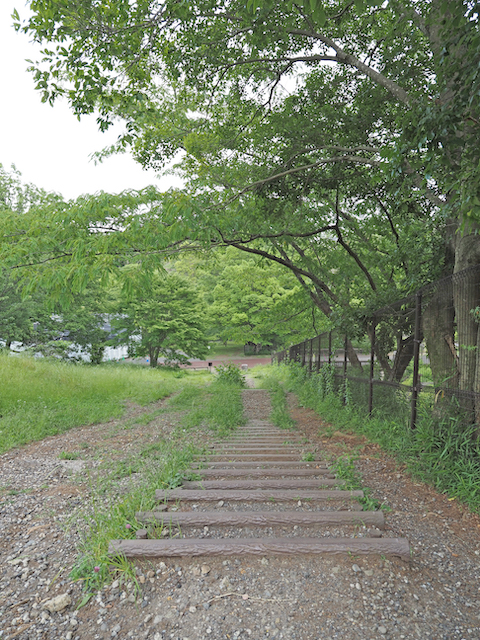 都立狭山公園の十二段の滝とワイルド階段3