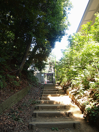 おんな坂(NO.254)3