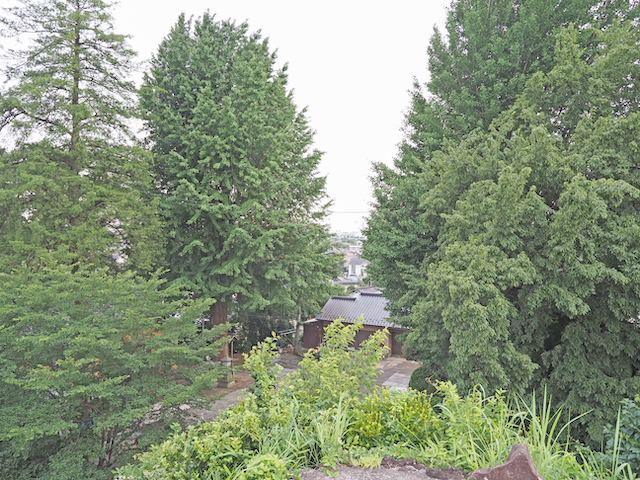 中里の富士塚の高低差と眺め4