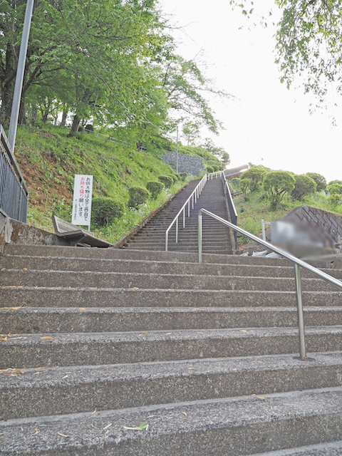 塩澤山・寶光寺の長い階段2