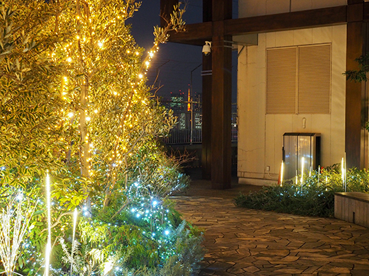 ���ɹ��粰�β������।���2