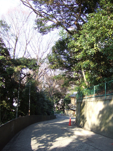 ���濷�� (NO.126) 4