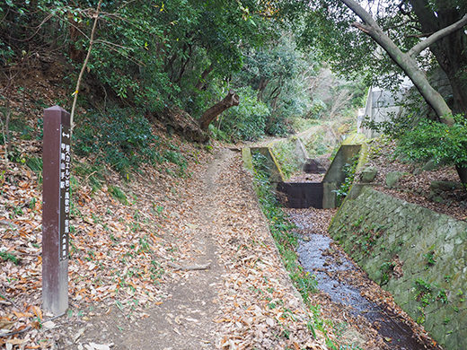 古道「魚屋道」の登山道を歩いてみる2