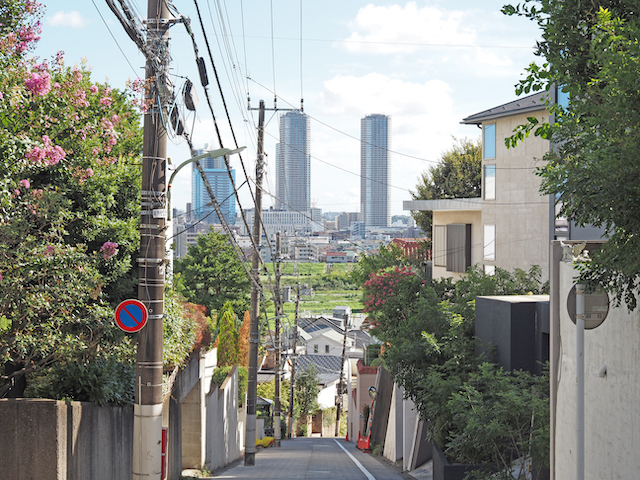 16%の田園調布4丁目の坂道2