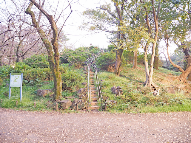 戸山公園の箱根山の展望台1
