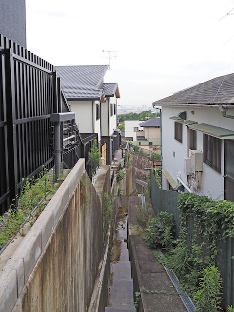 水が湧き出ている苦楽園二番町の坂道3
