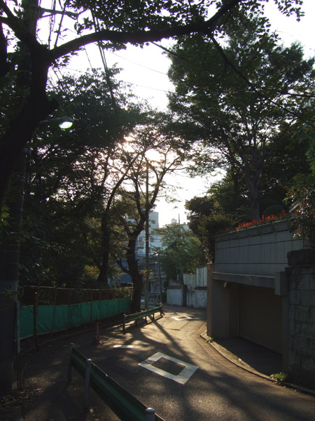 ���ں�(NO.154)6