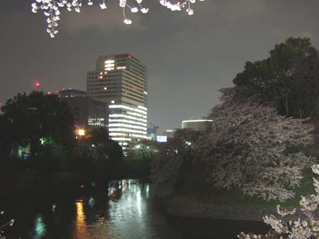 九段下の夜桜4