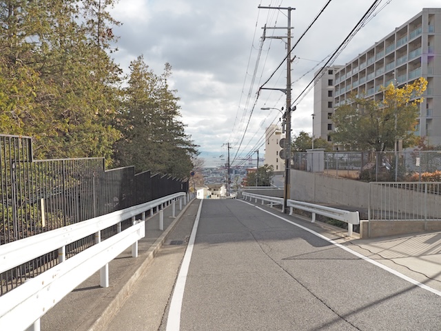 ����NO.729��2