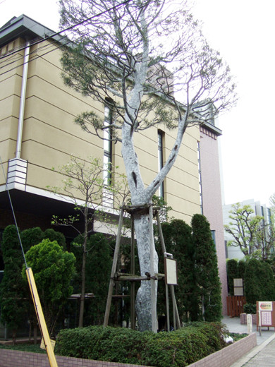 ��ëԢ�ܱ��ȸ���š�β��κ�2