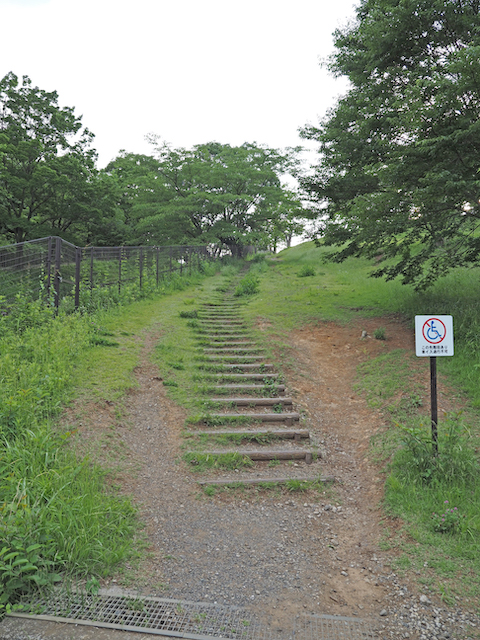 都立狭山公園の十二段の滝とワイルド階段2