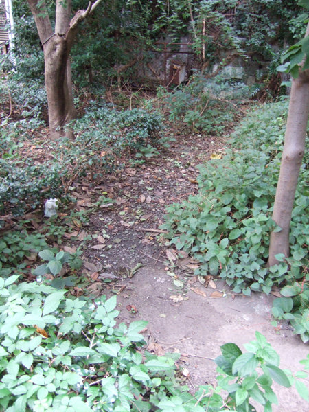 03_六本木ヒルズの消えた階段