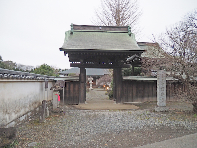 ´Ñ²»ºä¡ÚNO.565¡Û3