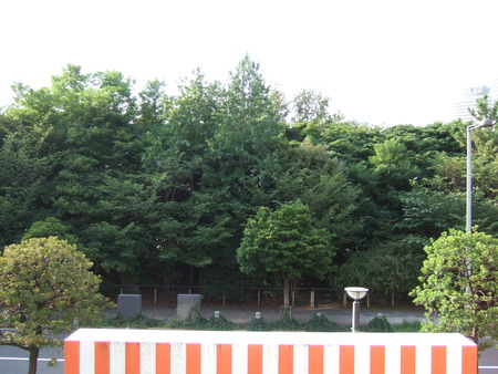お台場海浜公園そばの謎の階段2