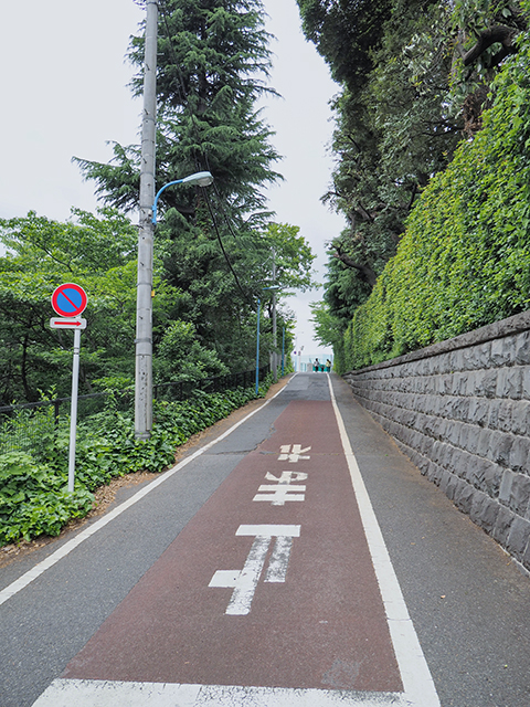 ���̺��NO.433��5+