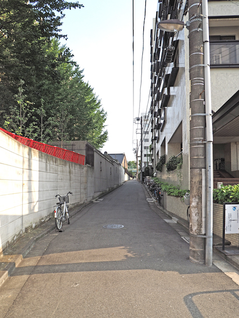 ͩ����NO.552��1