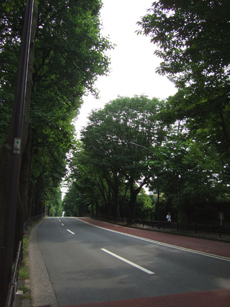 安鎮坂(NO.144) 3