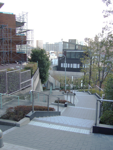 まさに凹凸(おうとつ)の坂5