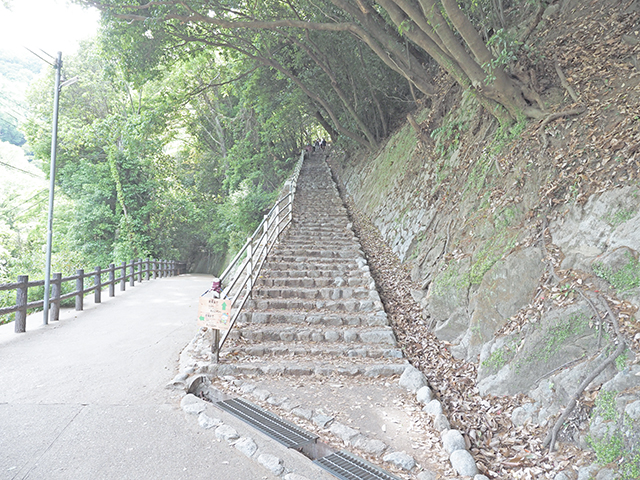 �ߤϤ餷Ÿ˾�桢�۰����줫��⤹��゙�ΤȤ����ˤ���į˾����2