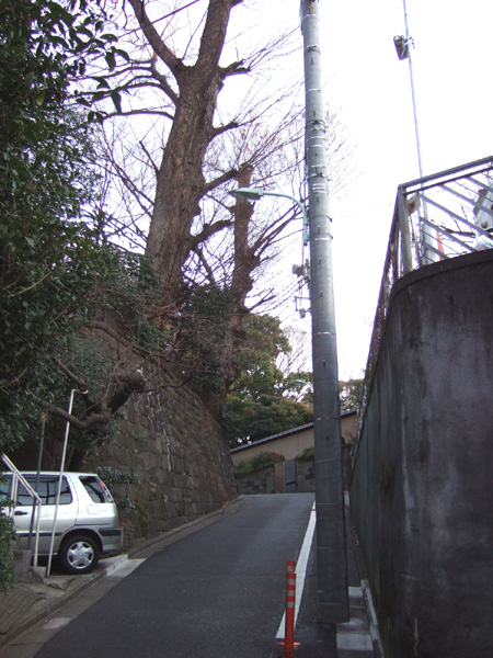 本氷川坂 (NO.130) 4