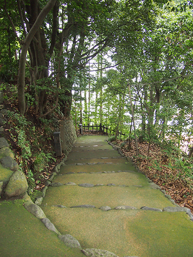 住吉神社の女坂?3