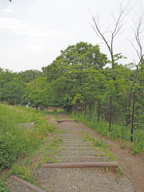 都立狭山公園の十二段の滝とワイルド階段5